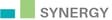 Synergy Enterprises