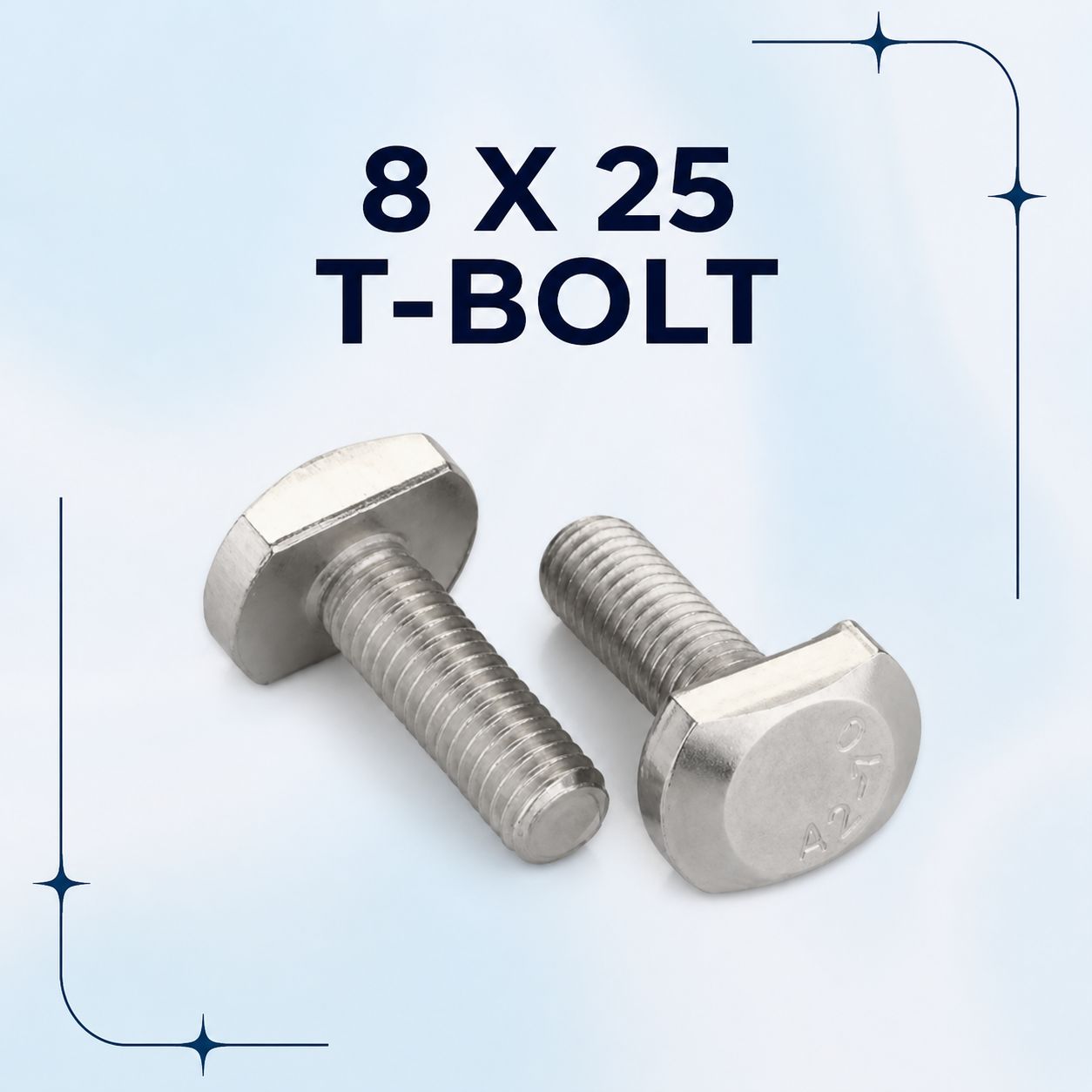 8 X 25 T-BOLT(MOQ-500 Nos)