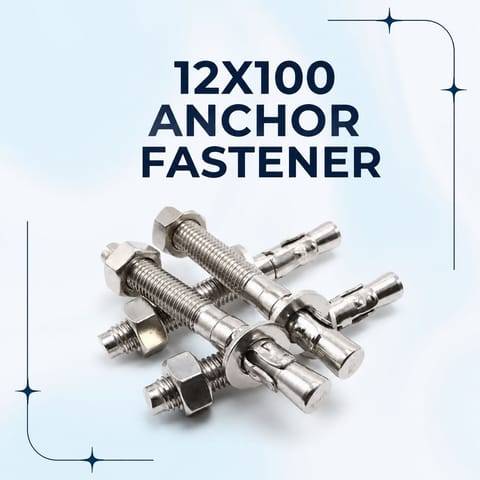 12X100 ANCHOR FASTENER(MOQ-500 Nos)