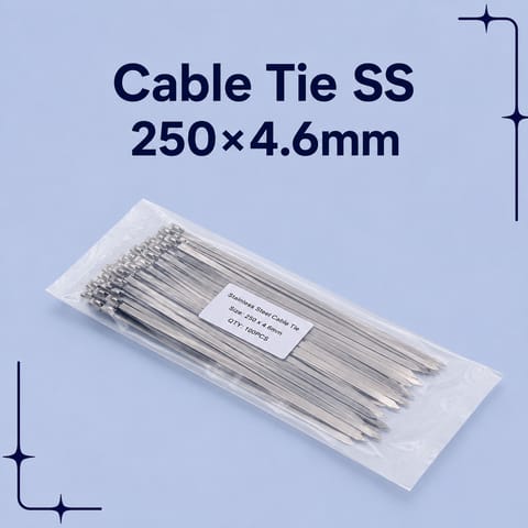 Cable Tie SS 250×4.6mm