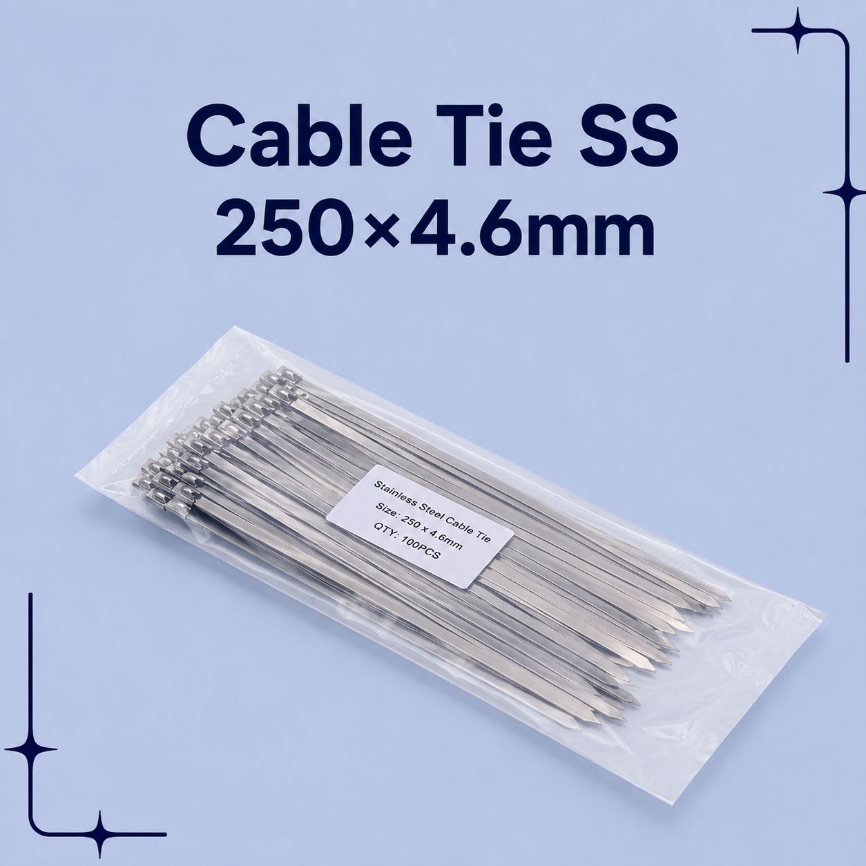 Cable Tie SS 250×4.6mm