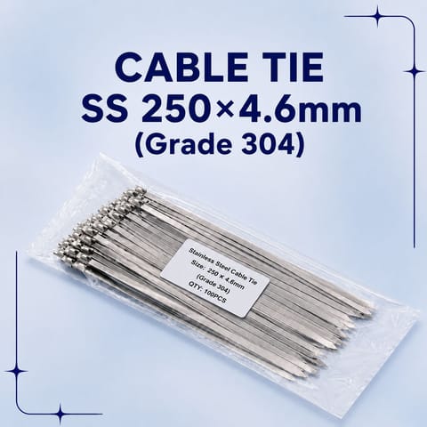 Cable Tie SS 250×4.6mm