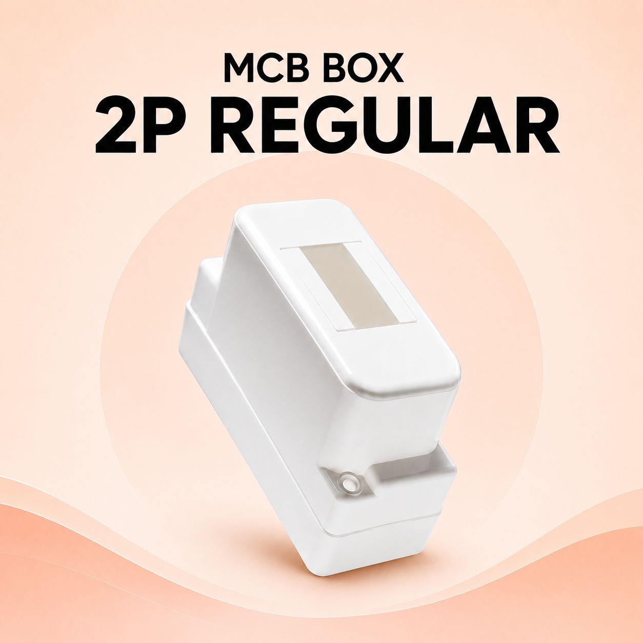 MCB Box 2P Regular